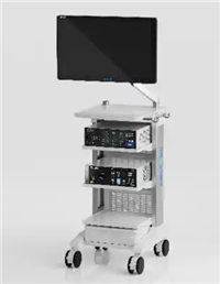 三维内窥镜荧光摄像系统ENDOCAM-06P