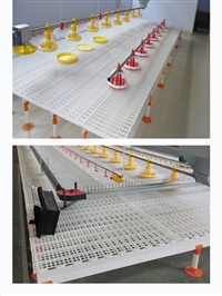 漏粪板鸡鸭用漏粪板家禽用漏粪板塑料漏粪板