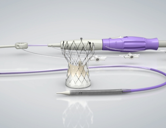 TAV26经导管主动脉瓣膜系统