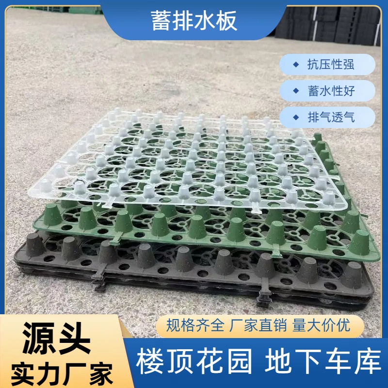 蓄排水板   高抗压  超大蓄水空间 屋顶绿化排水神器