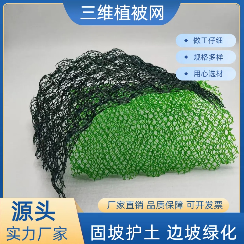 三维植被网  铁路公路护坡固土优选