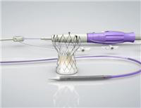 TAV26经导管主动脉瓣膜系统