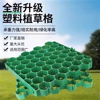70公分植草格 开启绿色新地标 绿化与承载双重能力