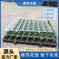 蓄排水板   高抗压  超大蓄水空间 屋顶绿化排水神器