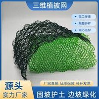 三维植被网  铁路公路护坡固土优选