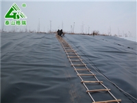 粪污养殖塘HDPE防渗膜40丝厚度奶牛猪场养殖使用
