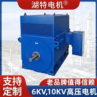 Y、YR、YKS、YKK、YRKK、YPKK、YTM、YHP、YMPS、TDMK高压电机