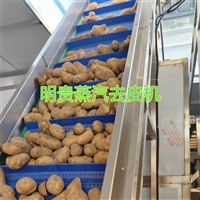 山药土豆蒸汽去皮机高温烫皮设备