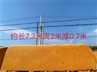 景区大型黄蜡石导览石 天然蜡质景观石