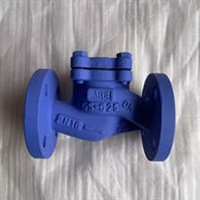 NIKO尼科升降式止回阀，止回阀厂家