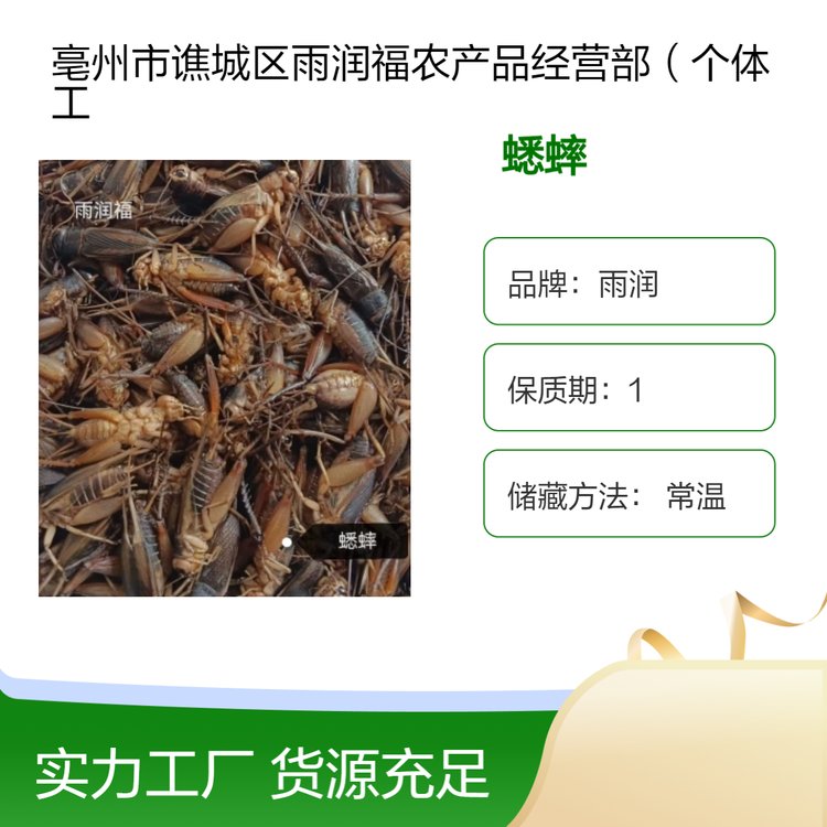 中药材蟋蟀 精选干净无添加自然晒干散装批发昆虫大全