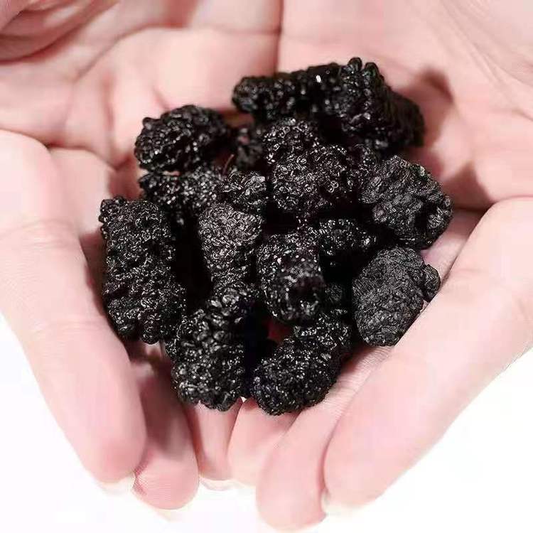 中药材仓库批发 黑蚂蚁 干货包邮 常年供应各种冷背药材