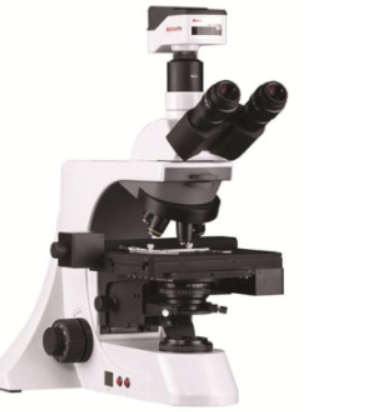 全自动数字切片扫描系统IBL 700