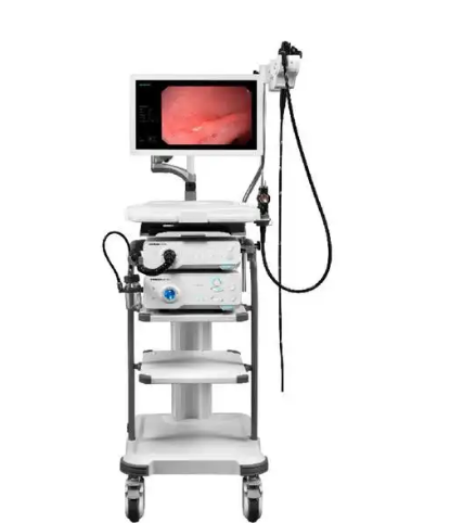 电子下消化道内窥镜C-1100