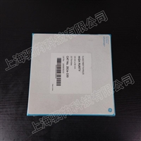 2814-199沃特曼HPGF玻璃纤维滤筒 19mmx90mm