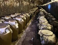 喜德评估机构经济林木价值评估