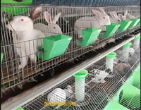 沧源县评估机构水产养殖损失评估