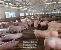 布拖评估机构花卉苗木资产价格评估