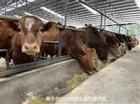 新平县评估机构农村房屋价值评估