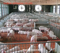 喜德评估机构岔景风景树价值评估