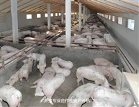 金阳评估机构采石场资产价格评估