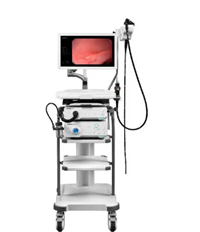 电子下消化道内窥镜C-1100