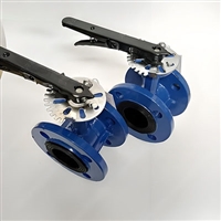 压力自密封闸阀/D341X法兰橡胶蝶阀