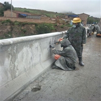 桥梁加固A桥梁维修A支座更换A梁体加固A裂缝修补A桥梁顶升