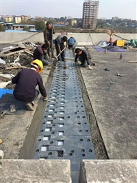 伸缩缝快修A桥梁伸缩缝维修A路面伸缩缝变形缝快修