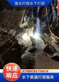2025-辛集附近打捞手机电话公司有哪些