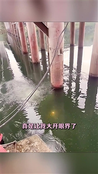 2025-乐昌附近打捞手机电话哪家好