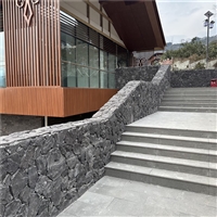 亲水平台 水池水幕墙 不规则黑色碎拼 蘑菇文化石