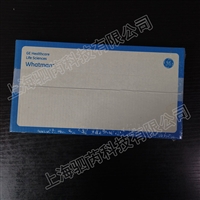 3001-964思拓凡沃特曼1 CHR纤维素层析纸110mmx213mm