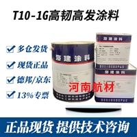 T10-1G高韧高发涂料价格-海洋化工研究所 配合T06-1R高韧防护底漆