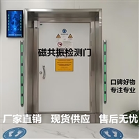 核磁室智能铁磁探测仪金属探测器