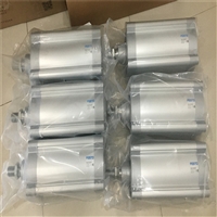 德国FESTO标准电缸DSBC-50-320-PA-N3