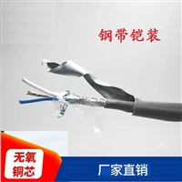 485铠装屏蔽双绞线ZA-ASTP-120-18AWG2*2*0.8