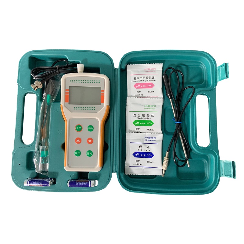 DL-PH100便携式PH计带自动温补