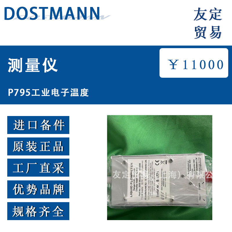 DOSTMANN P795工业电子温度测量仪