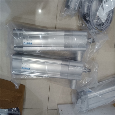 DSBC-50-100-PPSA-N3德国FESTO费斯托1376307齿带驱动轴