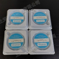 111703思拓凡沃特曼Cyclopore 聚碳酸酯膜孔径0.05um直径90mm