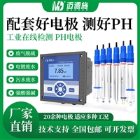 工业在线PH检测仪 污水粘稠液工况ORP玻璃智慧传感器 防腐耐高温