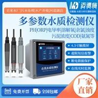高精度多参数水质检测仪 PH污泥浓度氨氮余氯浊度 在线监测分析仪