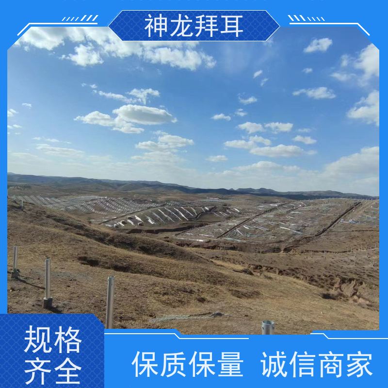 神龙拜耳 品牌 工艺细致 2021年光伏项目