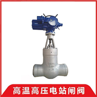 宁波水表厂Z961Y高温高压电站焊接闸阀