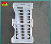 白色塑料隔板蛋箱种蛋及商品蛋的运输周转