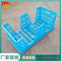 鸡蛋周转筐 种蛋筐 塑料周转筐 孵化厂养殖场用蛋箱 厂家供应