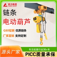 辰力集团 挂钩式链条电动葫芦 1吨 厂房工地   安全起重