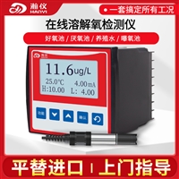 在线溶解氧检测仪水质监测仪