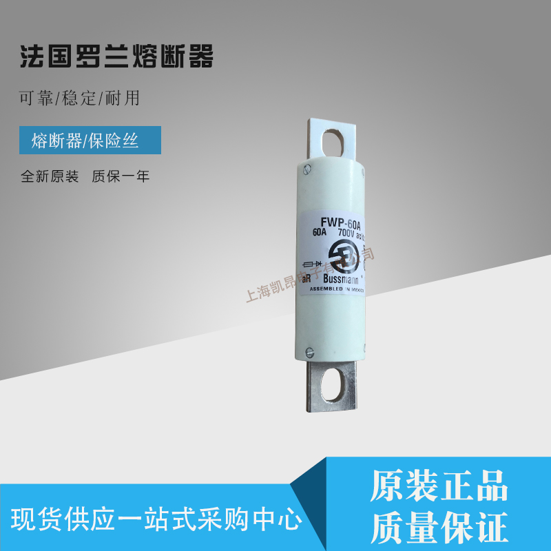 FR22GR69V12 W1018551法国罗兰 全新快速熔断器/保险丝 质量保障